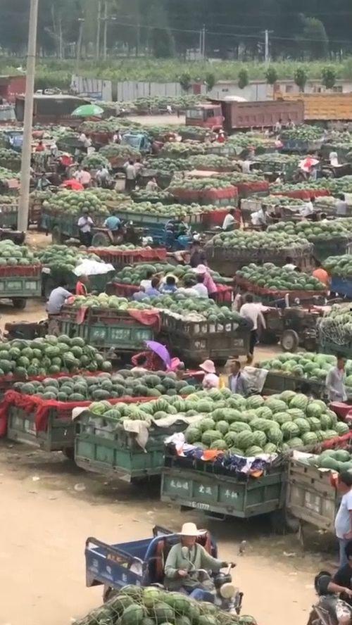 吃瓜入口地址  第1张