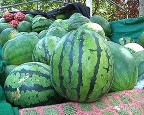 天选的吃瓜,揭秘娱乐圈幕后风云 第2张 天选的吃瓜,揭秘娱乐圈幕后风云 第2张