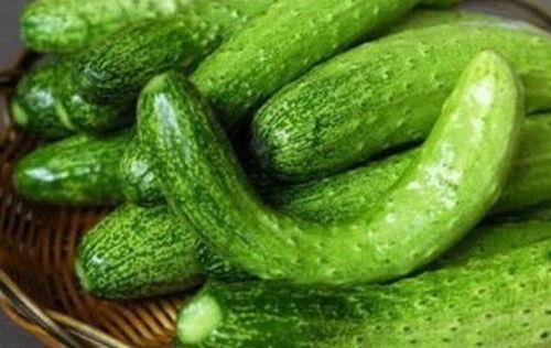 吃瓜群名大全,趣味横生的社交圈命名艺术 第3张 吃瓜群名大全,趣味横生的社交圈命名艺术 第3张