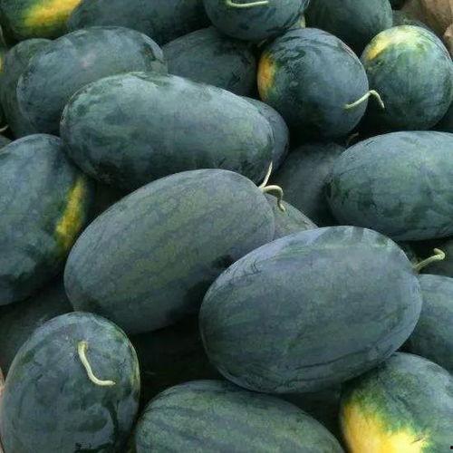 大涵宝吃瓜,揭秘娱乐圈幕后故事 第1张 大涵宝吃瓜,揭秘娱乐圈幕后故事 第1张