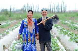 自顾潇洒吃瓜,吃瓜群众如何乐享人生 第2张 自顾潇洒吃瓜,吃瓜群众如何乐享人生 第2张
