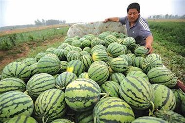 清河人民吃瓜,揭秘当地人民的生活与美食文化 第3张 清河人民吃瓜,揭秘当地人民的生活与美食文化 第3张
