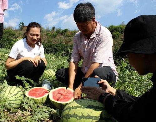 吃瓜群众 岱,揭秘背后的故事与真相 第3张 吃瓜群众 岱,揭秘背后的故事与真相 第3张