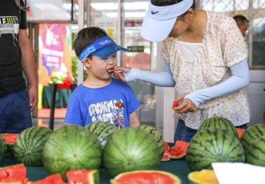 吃瓜群众俗称,揭秘“吃瓜群众”背后的网络文化现象 第1张 吃瓜群众俗称,揭秘“吃瓜群众”背后的网络文化现象 第1张