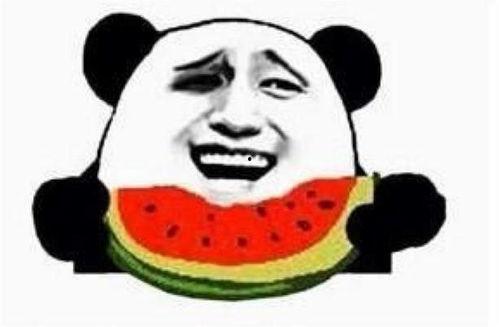 猹儿找瓜吃,一场奇妙的觅食之旅 第2张 猹儿找瓜吃,一场奇妙的觅食之旅 第2张