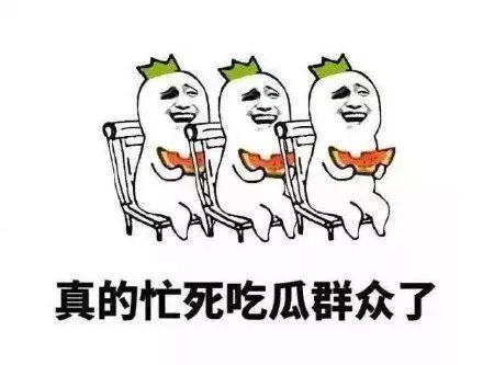 吃瓜群众害羞调皮,吃瓜群众趣味横生  第3张