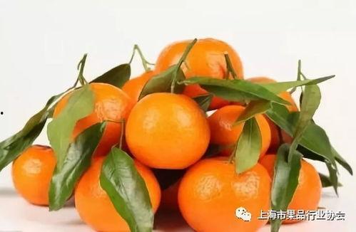 阿橘吃瓜,揭秘娱乐圈那些不为人知的幕后故事 第1张 阿橘吃瓜,揭秘娱乐圈那些不为人知的幕后故事 第1张