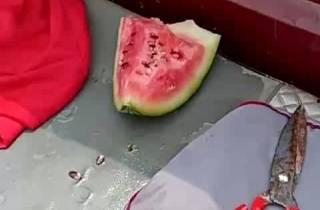 带顾客吃瓜服务,带您领略特色“吃瓜”服务之旅  第2张