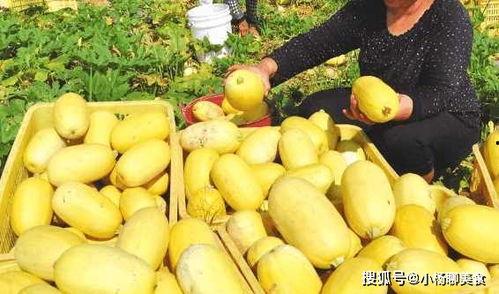 团皇吃瓜,揭秘娱乐圈背后的那些事儿  第3张