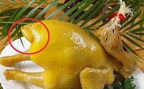 吃鸡屁股瓜 第1张 吃鸡屁股瓜 第1张