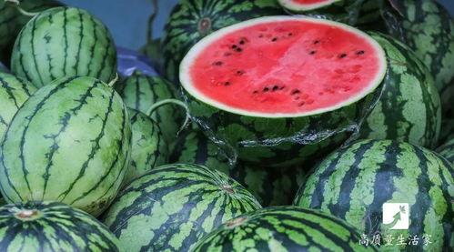 吃瓜窍门 第3张 吃瓜窍门 第3张