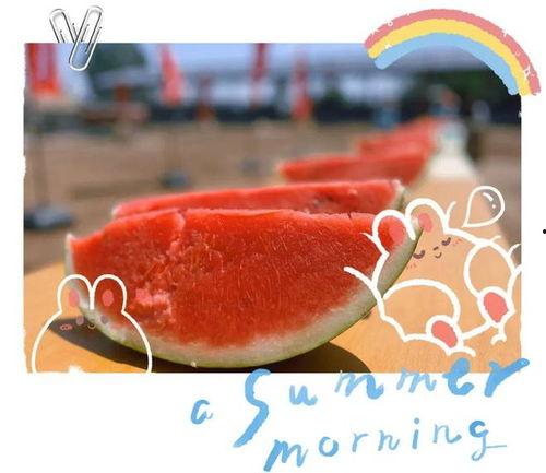 白象现场吃瓜 第3张 白象现场吃瓜 第3张