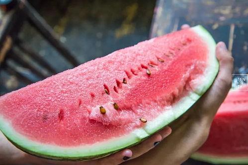 大胡子瓜怎么吃,大胡子瓜的多样食法探索 第1张 大胡子瓜怎么吃,大胡子瓜的多样食法探索 第1张