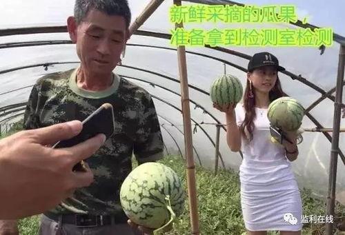 广东吃瓜群众直播  第1张