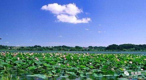 莱芜江北水城吃瓜,夏日消暑吃瓜盛宴，畅享清凉时光  第3张