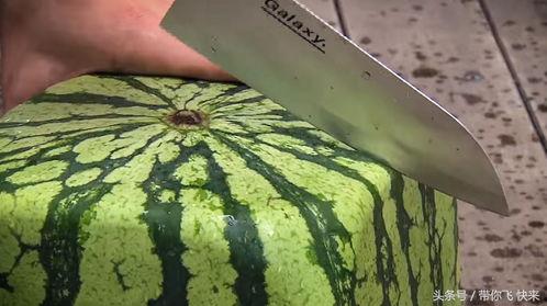 方瓜可以吃吗  第3张