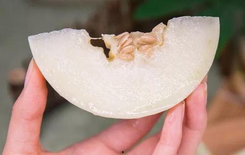 岁月之柔吃瓜,一场吃瓜盛宴的温馨回忆  第3张