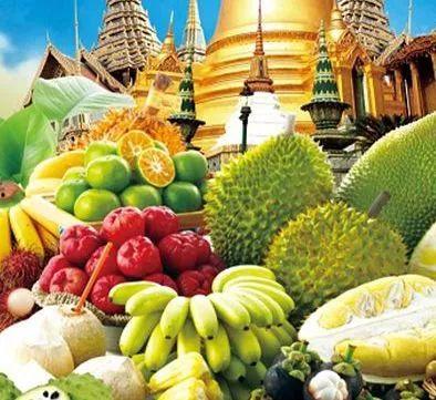 ucsdpdf吃瓜泰国  第1张