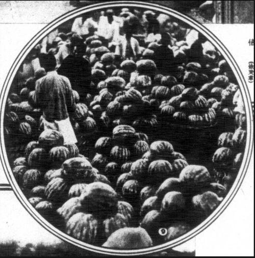 上海徐汇吃瓜事件,一场网络热议背后的真相与反思  第2张