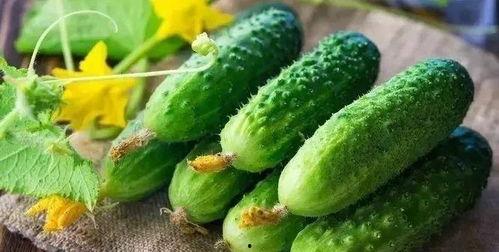 真骨吃瓜  第1张