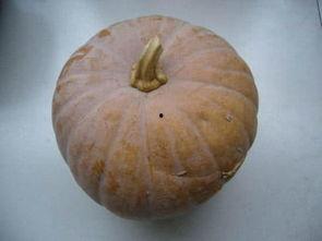 占卜吃瓜  第3张