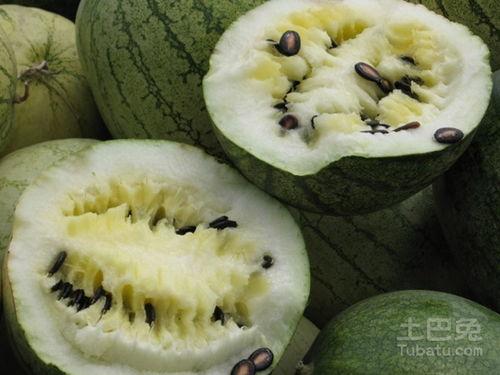 籽瓜是怎么吃,从田间到餐桌的味蕾之旅  第2张