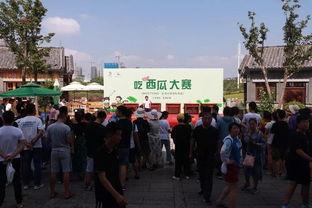 农民小镇吃瓜大赛,农民小镇的欢乐吃瓜盛宴”  第2张
